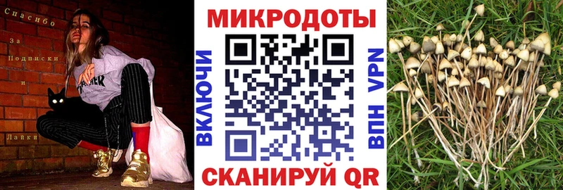 Псилоцибиновые грибы Psilocybe Межгорье