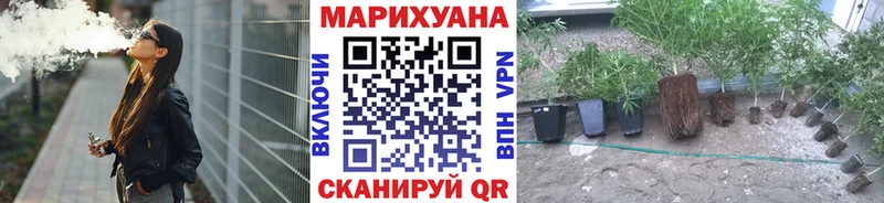 МАРИХУАНА SATIVA & INDICA  Межгорье 