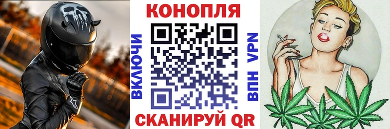 Шишки марихуана конопля Межгорье
